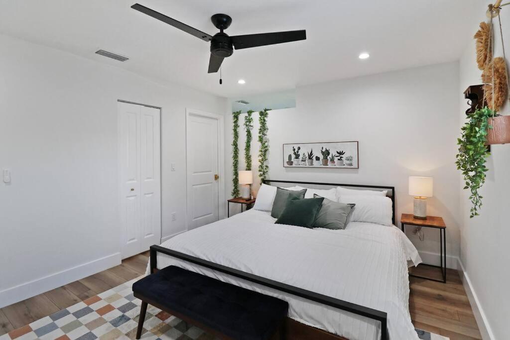 Palm Tree Paradise Tampa Pool Home エクステリア 写真