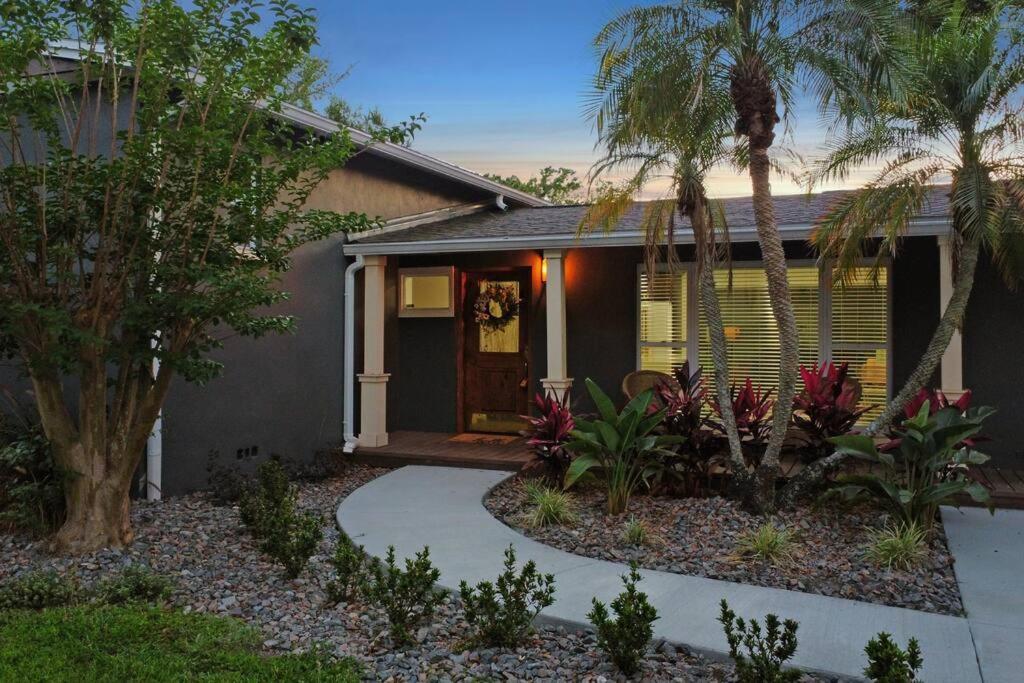Palm Tree Paradise Tampa Pool Home エクステリア 写真