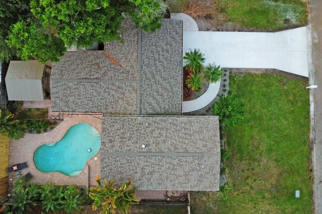 Palm Tree Paradise Tampa Pool Home エクステリア 写真
