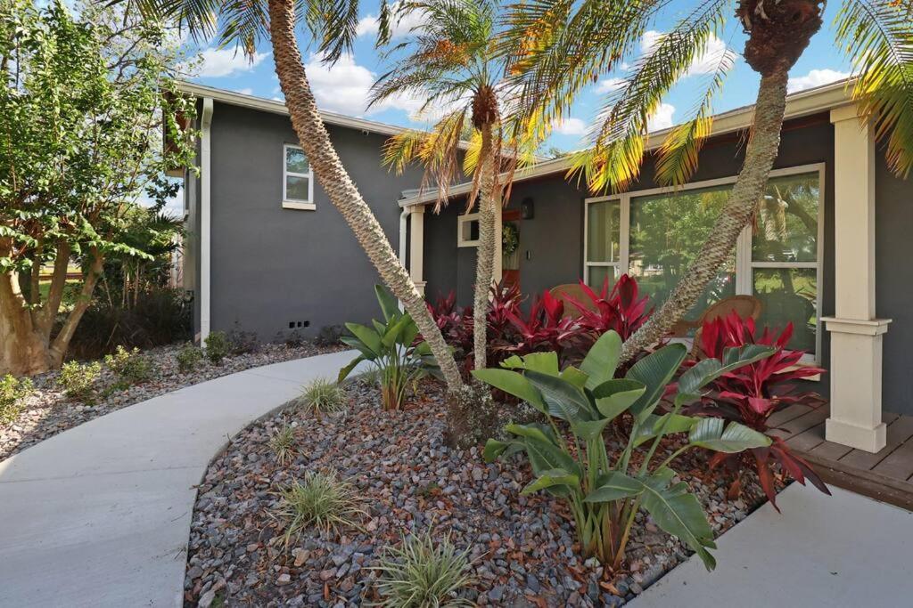 Palm Tree Paradise Tampa Pool Home エクステリア 写真
